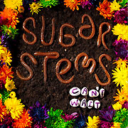 The Sugar Stems